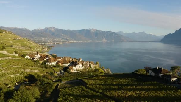 Overflight Typical Village Rivaz Lavaux Vineyard Switzerland Autumn Colors Sunset — Stock videók