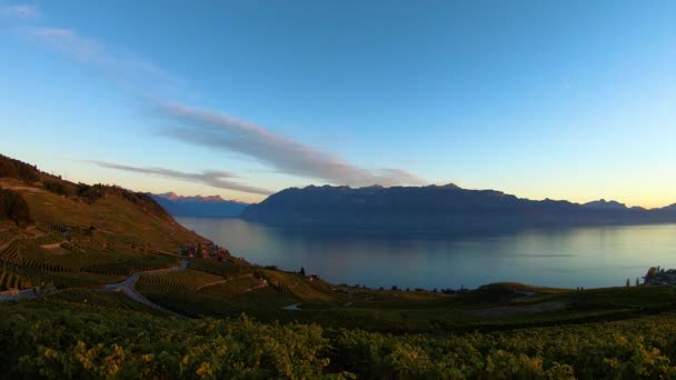 Autumn Sunset Timelapse Lavaux Vineyard Lake Lman Alps Background Switzerland — Vídeo de stock