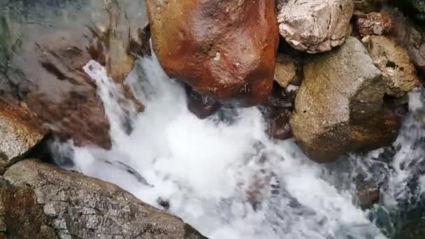 Closeup Clean Mountain River Alps — Wideo stockowe