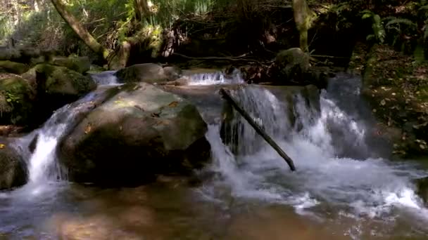 Зіткнення Скелі Кристалічному Потоці Зеленому Лісі Денний Час Бістріскі Вінтґарі — стокове відео
