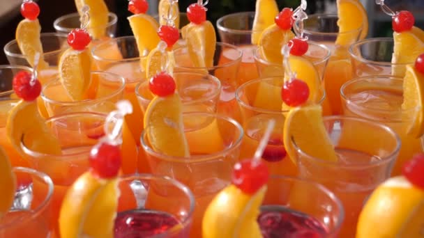 Pan Een Cateringtafel Vol Met Veel Chique Alcoholische Cocktails Met — Stockvideo