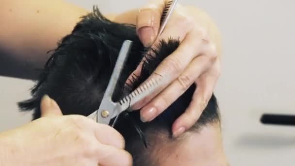 アマチュアヘアドレッサー切断長い髪を閉じる — ストック動画