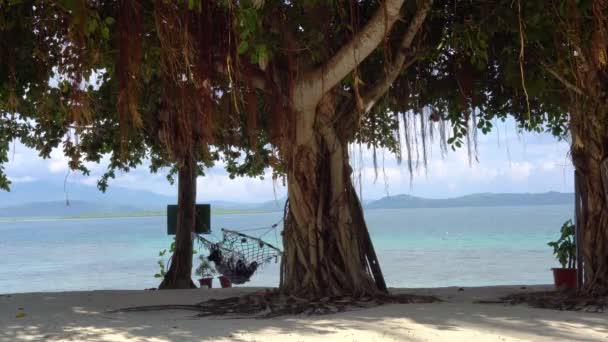 Mujer Descansando Una Hamaca Junto Playa — Vídeo de stock