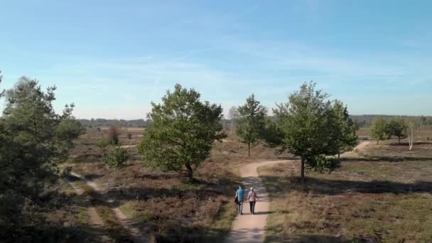 Elderly Couple Walking Path Moorland Landscape Passing Two Trees Alongside — Stok video