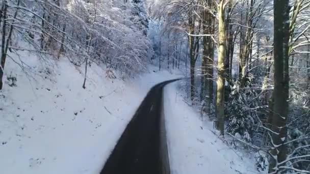 Drone Flying Low Road Forest Covered Snow — Stockvideo