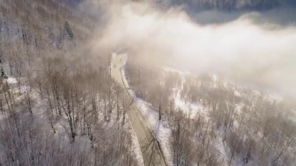 雪に覆われた森の中の冬のカントリーロードの空中風景遠くの山を明らかに太陽に照らされた黄金の霧で覆われて — ストック動画