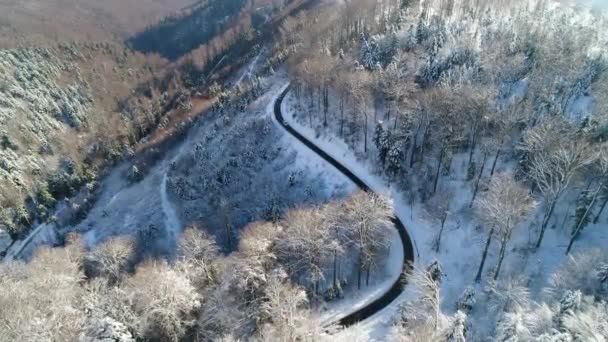 Aerial View Cars Driving Curvy Winter Country Road Snowy Forest — Stockvideo