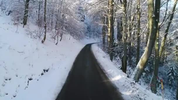 Drone Flying Low Road Forest Covered Snow — 图库视频影像