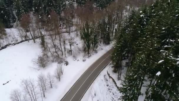 Aerial View Winter Country Road Snowy Forest — Stockvideo