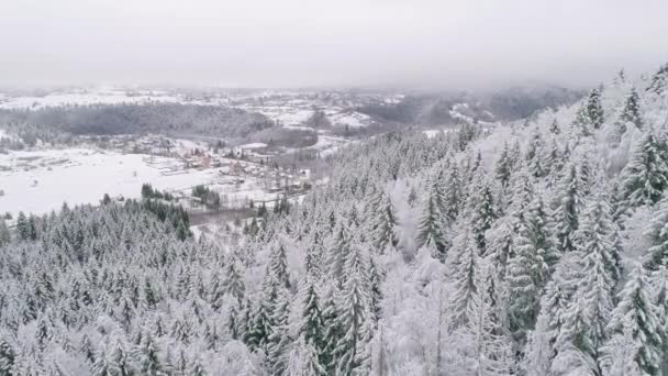 空中拍摄覆盖在雪地上的松树 揭示了村庄的背景 — 图库视频影像