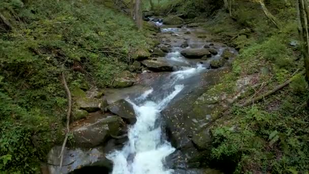 在斯洛文尼亚Bistriski Vintgar 有一条平静的风景 小河在日光下流过绿林 空中游览旅行 — 图库视频影像