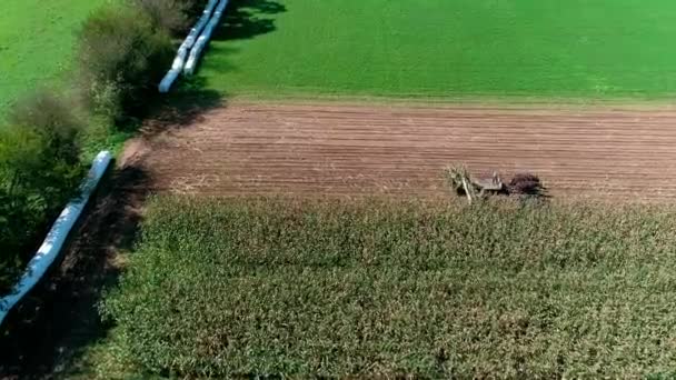 Amish Rolników Zbioru Tam Upadek Upraw Jako Widziany Przez Drone — Wideo stockowe