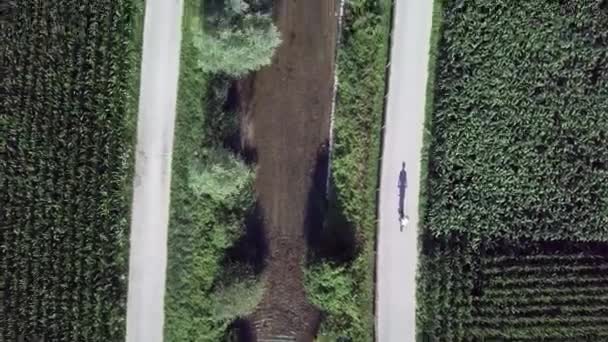Αεροφωτογραφία Πάνω Από Ένα Ποδηλάτης Ρίχνει Μια Μεγάλη Σκιά Στο — Αρχείο Βίντεο