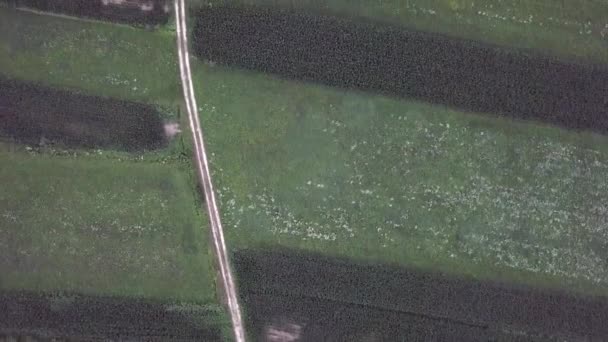 Aerial Reveal Type Clip Starting Top View Farm Field Ending — Video Stock