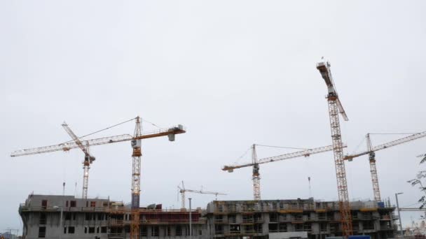 Wide Shot Multiple Cranes Working One Site — Stockvideo