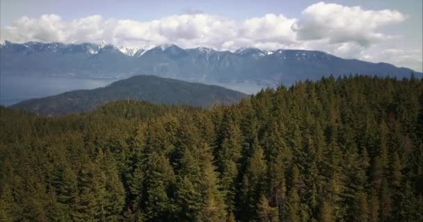 鲍恩岛森林和山脉的空中景观 — 图库视频影像