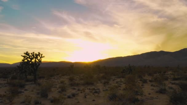 Flygfoto Cinematic Soluppgång Mojave Desert Bergslandskap Med Joshua Trees — Stockvideo