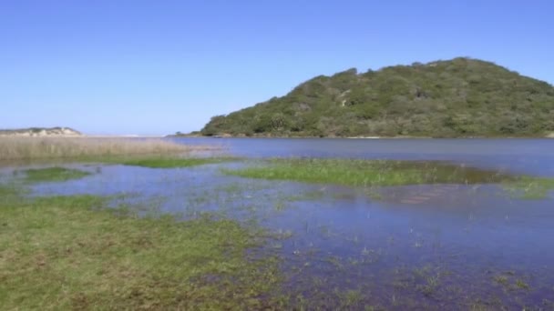 Une Vue Panoramique Sur Rivière Glen Gariff — Video