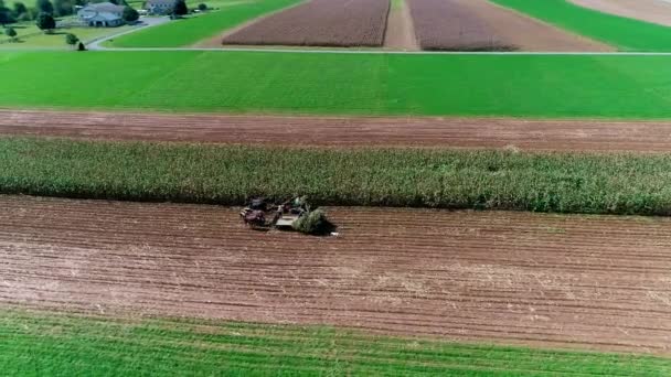 Amish Boeren Oogsten Val Gewassen Als Gezien Door Drone — Stockvideo