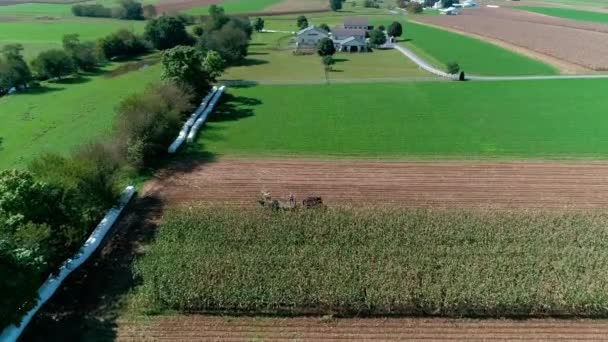 Amish Jordbrukare Skörd Det Hösten Grödor Som Sett Drönare — Stockvideo