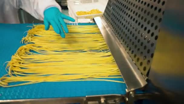 Many Types High Quality Pasta Been Produced Large Modern Pasta — Video Stock