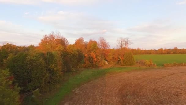 Drone Voando Baixo Sobre Terras Agrícolas Sobe Acima Copas Das — Vídeo de Stock