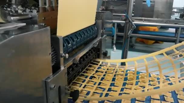 Many Types High Quality Pasta Been Produced Large Modern Pasta — Vídeo de Stock