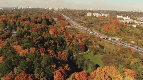 Fall Colour Don Valley Parkway Toronto Ontario Canada — Stok video