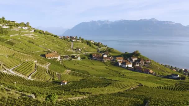 低空飞越葡萄园和Aran村 背景是瑞士拉沃湖和阿尔卑斯山 — 图库视频影像
