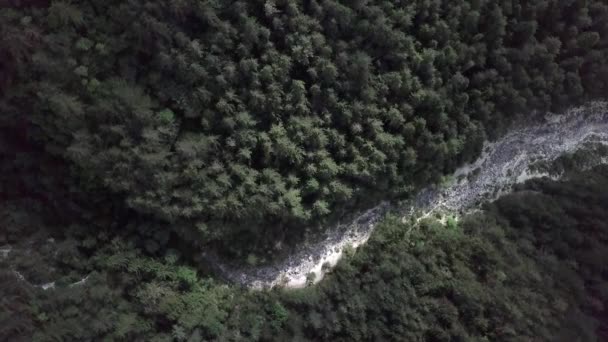 意大利特伦蒂诺Sugana山谷森林的空中俯瞰 无人驾驶飞机在下降时旋转 — 图库视频影像