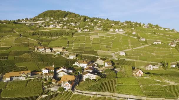 Aerial Orbiting Closing Aran Village Lavaux Vineyard Switzerland — 图库视频影像