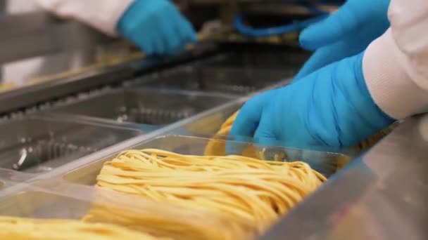 Many Types High Quality Pasta Been Produced Large Modern Pasta — Vídeo de Stock