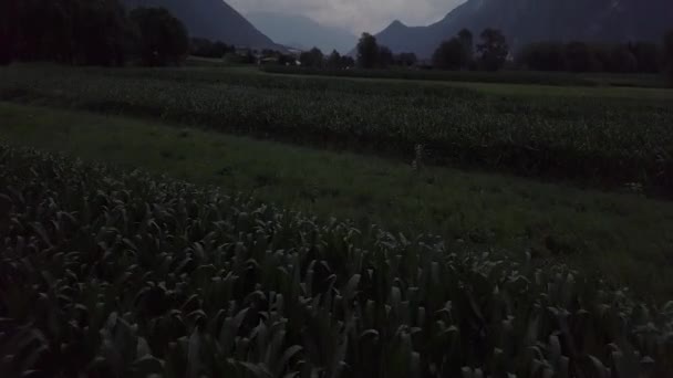 意大利Levico Terme农场的空中景观 无人驾驶飞机向前飞行时 摄像机翘起 — 图库视频影像