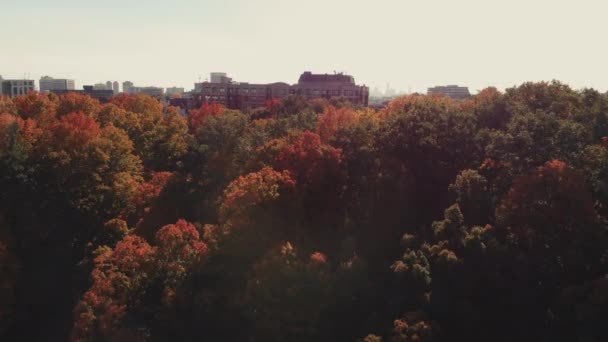 Fall Colour Don Valley Parkway Toronto Ontario Canada — Stock video