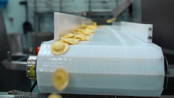 Many Types High Quality Pasta Been Produced Large Modern Pasta — Stock Video