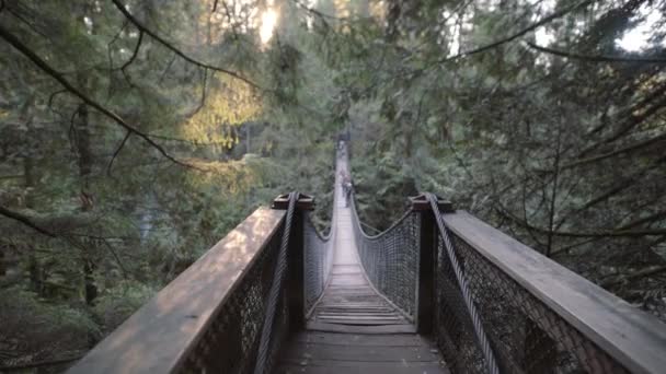 Metallseile Einer Hängebrücke Lynn Valley — Stockvideo