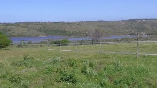 Terrain Agricole Avec Vue Sur Une Rivière East London Afrique — Video