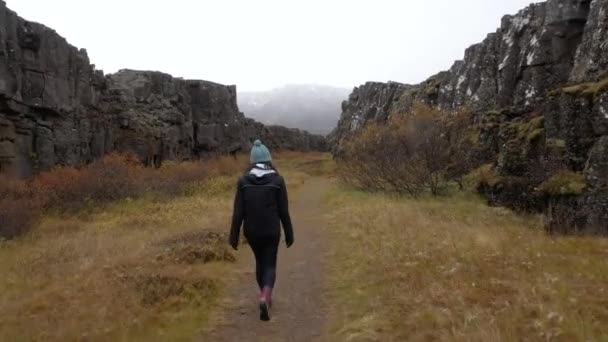 Ung Kvinna Vandrar Isländsk Kanjon Brett — Stockvideo