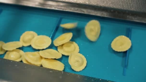 Many Types High Quality Pasta Been Produced Large Modern Pasta — Stockvideo