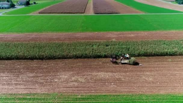 Фермеры Амиши Собирают Урожай Осенью Видит Дрон — стоковое видео