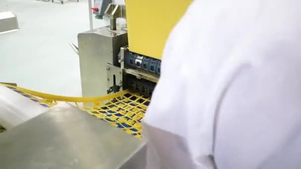 Many Types High Quality Pasta Been Produced Large Modern Pasta — Stockvideo