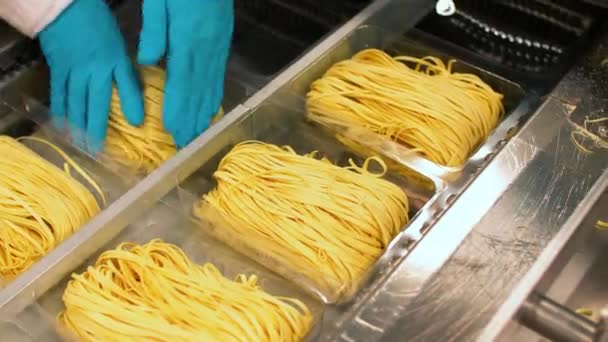 Many Types High Quality Pasta Been Produced Large Modern Pasta — Stockvideo