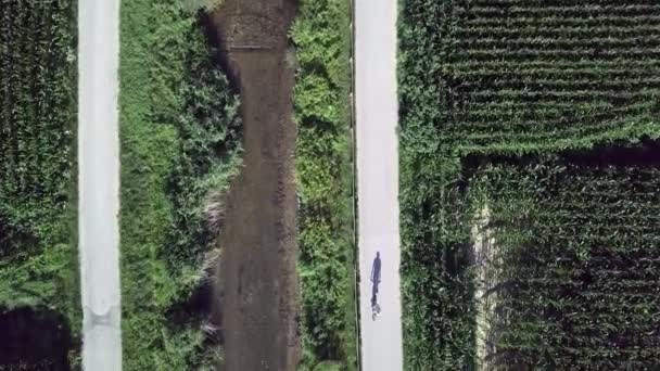 Aerial Top View Biker Casting Long Shadow Sugana Valley Italy — 图库视频影像