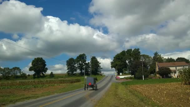 Amish Horse Buggy Van Por Camino — Vídeo de stock