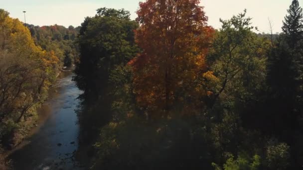 Fall Colour Don Valley Parkway Toronto Ontario Canada — Video Stock