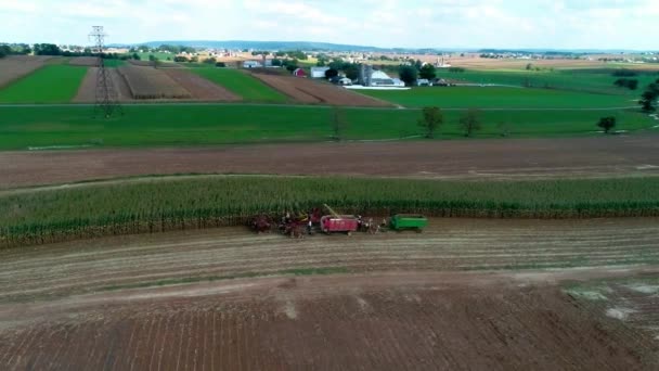 Amish Gazdák Betakarítás Ott Esik Növények Mint Látott Dron — Stock videók