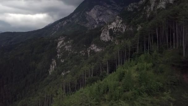 Aerial View Mountains Forest Borgo Valsugana Trentino Italy Drone Flying — 图库视频影像