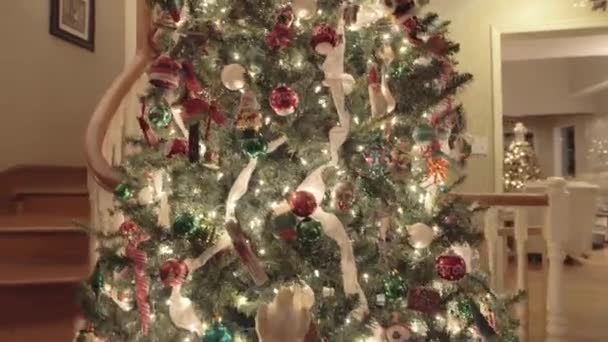 階段の近くに大きな屋内のクリスマスツリーを飾りました — ストック動画
