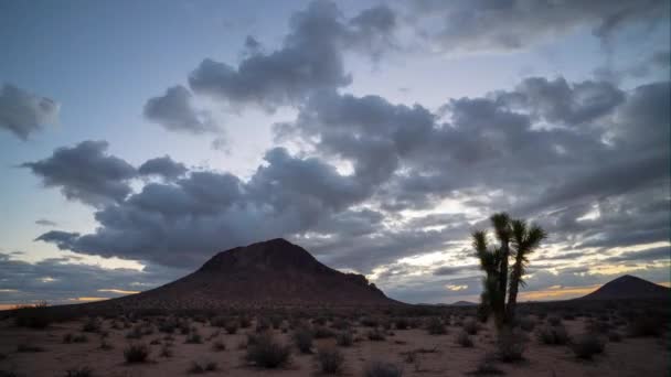 Cinematic Golden Sunrise Mojave Desert Joshua Tree Butte Mountains — Video Stock