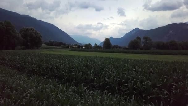 意大利Levico Terme农场的空中景观 日出时无人驾驶飞机在低空飞行 — 图库视频影像